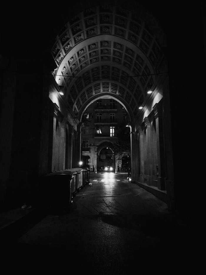 A black and white photo depicting a gothic-style indoor archway with dramatic lighting.